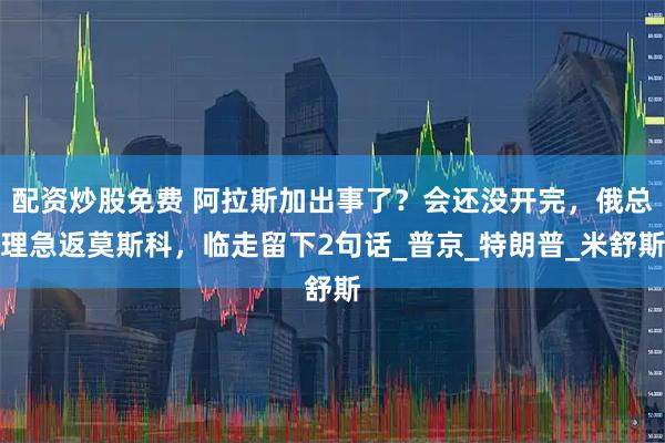 配资炒股免费 阿拉斯加出事了？会还没开完，俄总理急返莫斯科，临走留下2句话_普京_特朗普_米舒斯