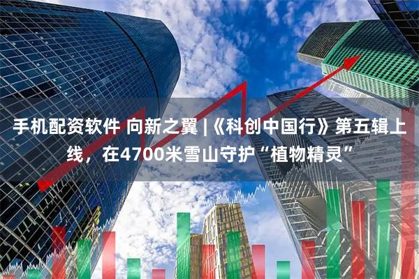 手机配资软件 向新之翼 |《科创中国行》第五辑上线，在4700米雪山守护“植物精灵”